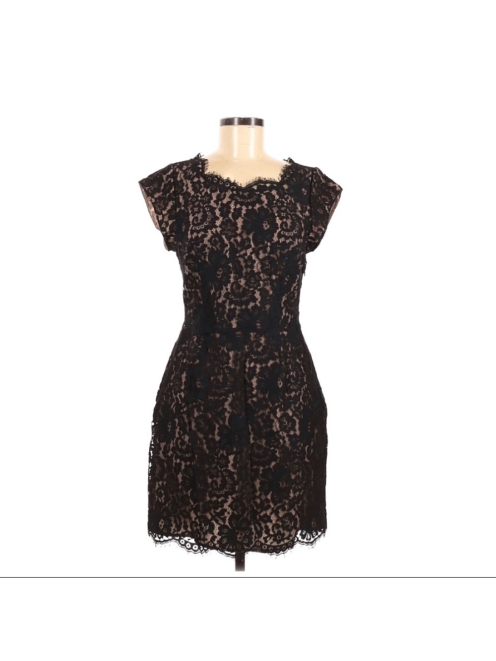 Joie floral lace black nude scalloped sheath dress